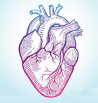 heartgraphic