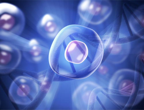 Cytokinetics Announces Positive Topline Results from ACACIA-HCM, the Pivotal Phase 3 Clinical Trial of Aficamten in Patients with Non-Obstructive Hypertrophic Cardiomyopathy